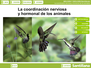 Sistemas nervioso y hormonal en animales