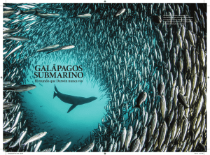 Galápagos Submarino: el mundo que Darwin nunca vio
