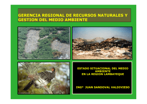 gerencia regional de recursos naturales y gestion del medio ambiente