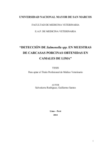 “DETECCIÓN DE Salmonella spp. EN MUESTRAS DE CARCASAS