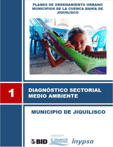POU_BJ_JI_Diagnóstico Sectorial Medio Ambiente 171 descargas