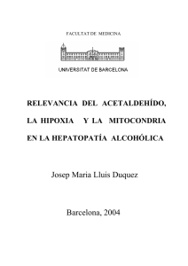 Josep Maria Lluis Duquez Barcelona, 2004
