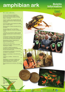 Amphibian Ark Newsletter 20