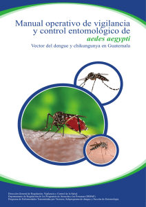 Manual operativo de Aedes aegypti