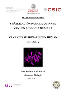 Senalizacion para la quinasa VRK1 en biologia humana.