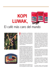 Kopi Luwak , el café más caro del mundo