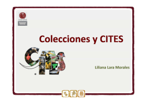 Colecciones y CITES