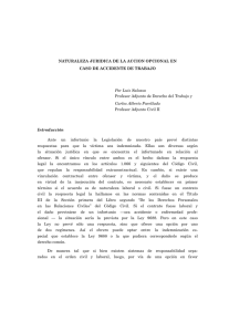 NATURALEZA JURIDICA DE LA ACCION OPCIONAL EN CASO DE