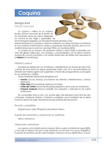 Coquina - FEN. Fundación Española de la Nutrición