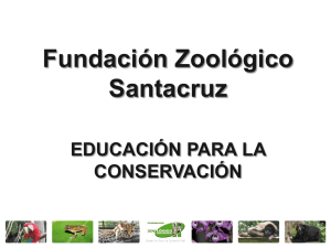 Educación para la conservación | Fundación