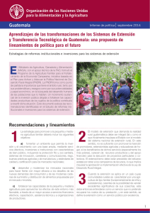 Guatemala Informe de política