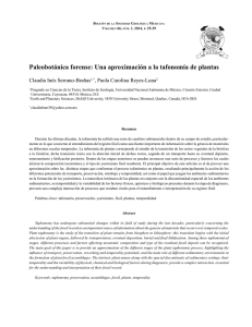 Paleobotánica forense: Una aproximación a la tafonomía de plantas