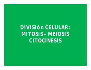 DIVISIón CELULAR: MITOSIS – MEIOSIS CITOCINESIS