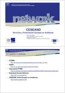 CESEAND Servicios y Financiación Europea en Andalucía.