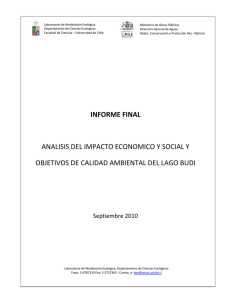 informe final analisis del impacto economico y social y