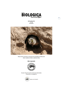 Biológica N°16 Capacidad de carga de Ribera Norte | Surubí Pintado