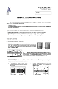 8° Ficha 5 – Membrana y transporte