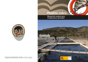 Mejillón cebra - Confederación Hidrográfica del Ebro