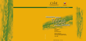 Antecedentes sobre el triticale en Chile y otros paises
