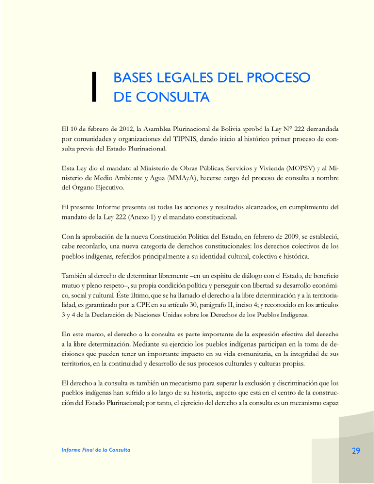 1 Bases Legales Del Proceso De Consulta