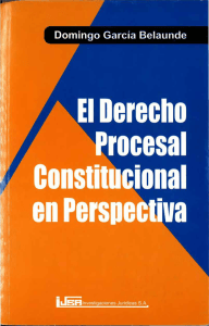 el derecho procesal constitucional en perspectiva