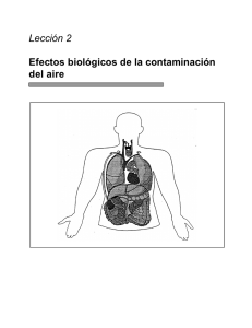 Efectos biológicos de la contaminación del aire