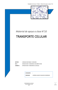 transporte celular - Colegio Monte de Asís