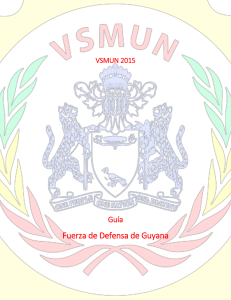 Fuerza de Defensa de Guyana - Venezuelan Summer Model of