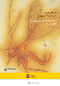 Catálogo de Proyectos IGME 2009