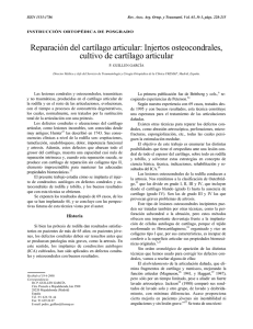 Reparación del cartílago articular: injertos osteocondrales, cultivo
