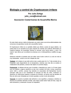 6. Biolog&iacute;a y Control de Cryptocaryon Irritans por Julio Zuniga.