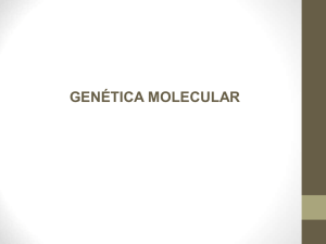 GENÉTICA MOLECULAR Bajo la denominación de Genética