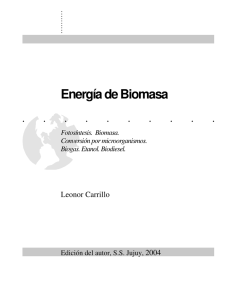 energia biomasa - MICROBIOTA - Bibliografía sobre microbiología