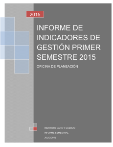 informe de indicadores de gestion 2015