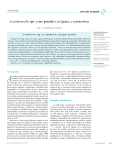 Acanthamoeba spp. como parásitos patógenos y