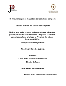 H. Tribunal Superior de Justicia del Estado de Campeche Escuela