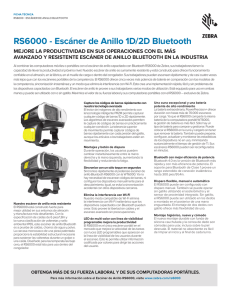 Hoja de especificaciones del RS6000