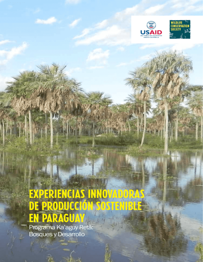 Experiencias Innovadoras De Producci n