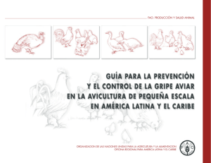 Guía para la prevención y el control de la gripe aviar en avicultura
