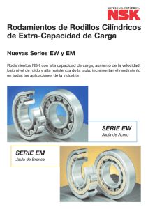 Rodamientos de Rodillos Cilíndricos Series EM y EW
