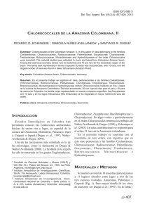 R. O. Echenique et al. - Chlorococcales de la Amazonia Colombiana