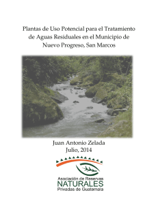 Plantas de Uso P de Aguas Residuales en Nuevo Progreso, S Juan