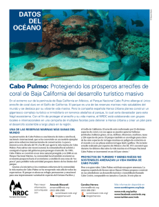 NRDC: Cabo Pulmo: Protegiendo los prósperos
