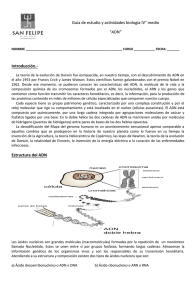 Guía de estudio y actividades biología IV° medio “ADN” Introducción