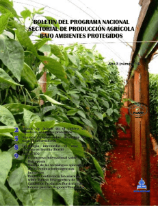 Número 14 Enero – Febrero 2009 - Ministerio de Agricultura y