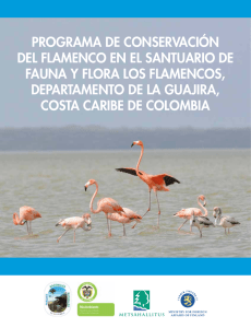 Programa conservacion flamenco - Parques Nacionales Naturales