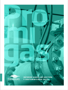 informe anual de gestión y sostenibilidad 2013