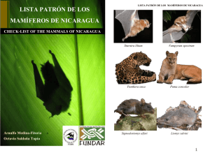 lista patrón de los mamíferos de nicaragua - Bio