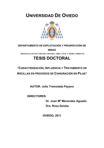 TD_Julio Tremolada Payano - Repositorio de la Universidad de