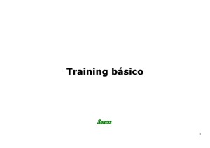 Training básico